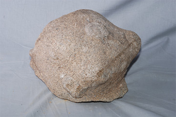 Kepala Lembu Jantan (Nandi)