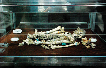 Replika Rangka Tulang Manusia Perak