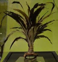 Sepak Raga Bulu Ayam